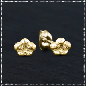 14k Gold Dainty Stud Earrings | Sakura